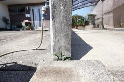 5LDK House for Sale in Nobeoka, Miyazaki with Multi-Gen Layout — Image 16, Nobeoka, Miyazaki
