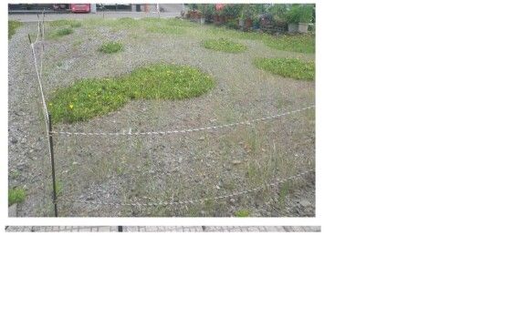Vacant Land for Sale in Saikai City, Nagasaki - 99.48 sqm - Thumbnail 4