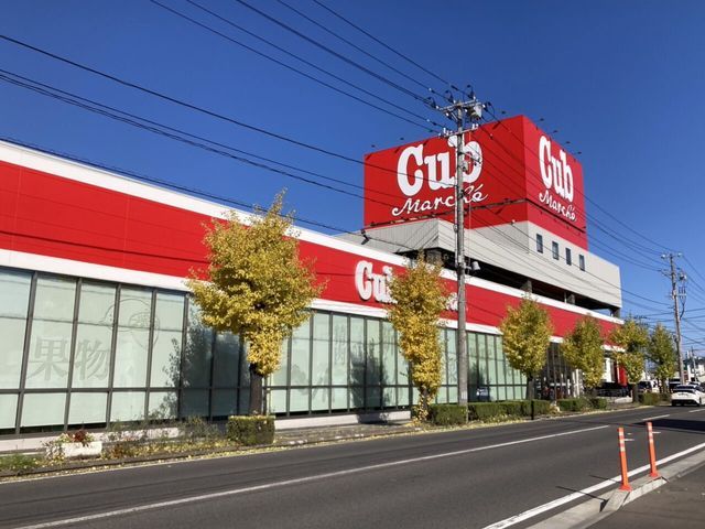 Newly Built 3LDK House for Sale in Hachinohe, Aomori - Thumbnail 3
