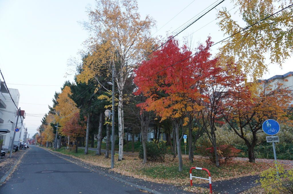Land for Sale in Shiroishi-ku, Sapporo - 236.36 sqm Plot - Thumbnail 4