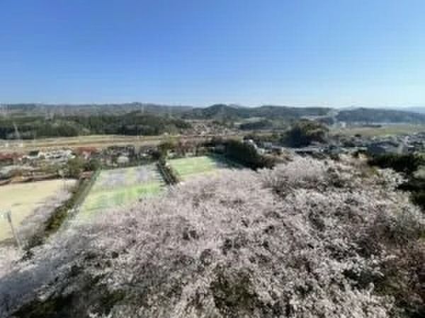 Land for Sale in Izumo City, Shimane - Near Nishi-Izumo Station - Thumbnail 3