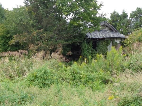 Land with Old House for Sale in Kameoka, Kyoto - Thumbnail 4