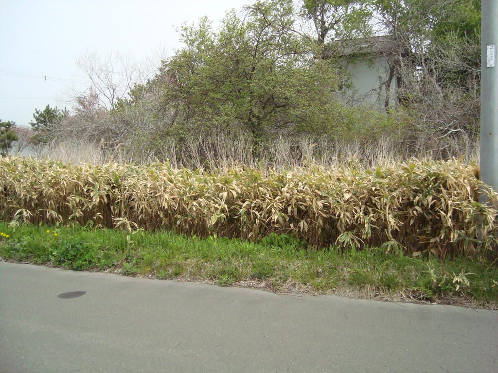 Vacant Land for Sale Near Usu Station, Date City, Hokkaido - Thumbnail 2