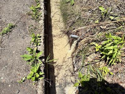 Naruko Onsen Cottage with Private Sulfur Hot Spring — Image 3, Osaki, Miyagi