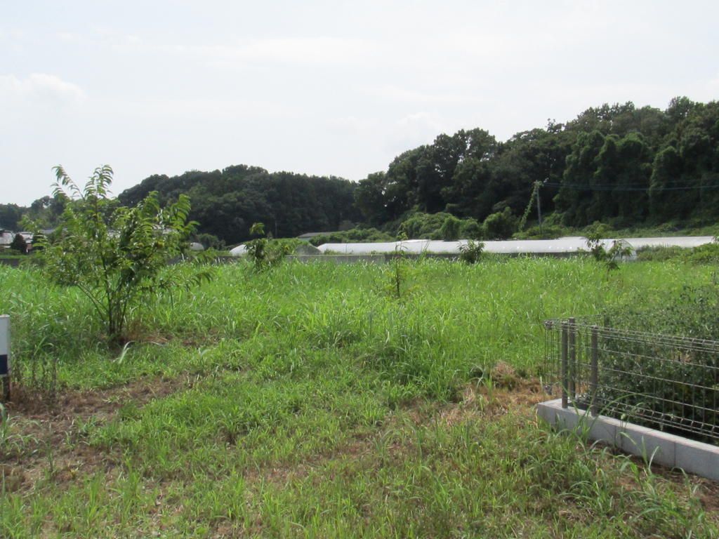 Land for Sale in Tsukuba City, Ibaraki - 343.78 sqm - Thumbnail 2
