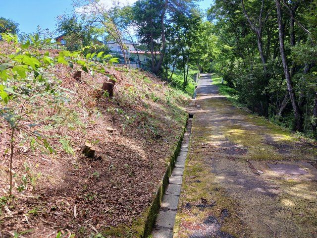 Flat 411 sqm Residential Land for Sale in Soma, Fukushima - Thumbnail 2