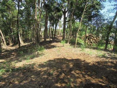 Commercial property suitable for private lodging and guest houses | Used detached house in Onjuku-cho, Isumi-gun, 4 km from Onjuku Station on the JR Sotobo Line (Property number: 0122451-0000061) — Image 3, Onjuku, Chiba