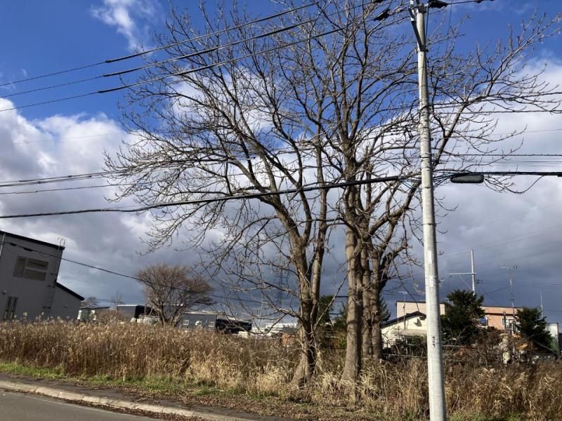 Vacant Land for Sale in Kita Ward, Sapporo, Hokkaido - Thumbnail 2