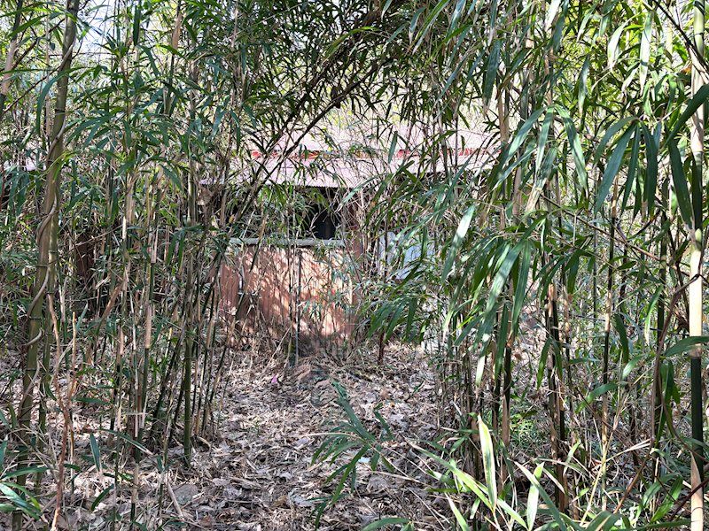 Land with Old House for Sale in Itō City, Shizuoka - Thumbnail 3