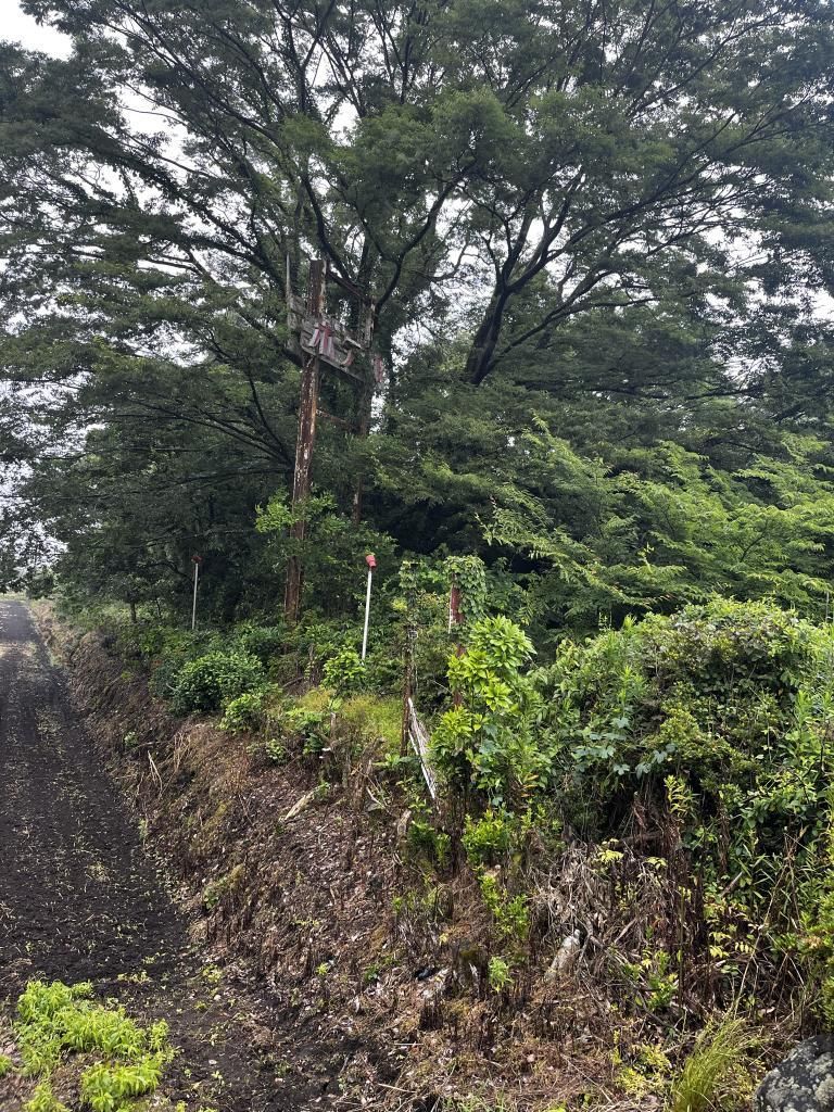 Land for Sale on Ebino Skyline, Kobayashi City, Miyazaki - Thumbnail 4