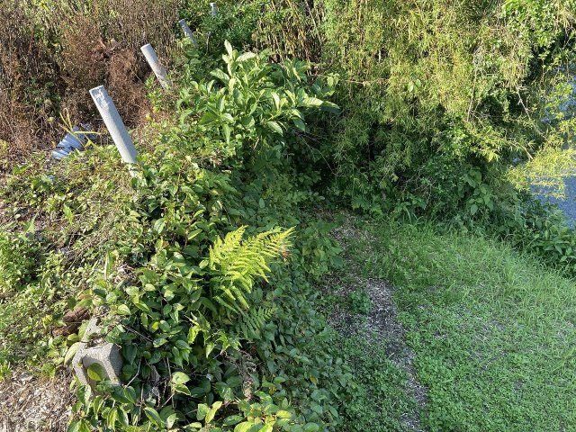 Land for Sale in Ichikikushikino City, Kagoshima - 156 sqm - Thumbnail 2