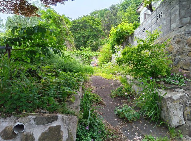 Vacant Land for Sale in Otaru, Hokkaido - 436.6 sqm Plot - Thumbnail 2