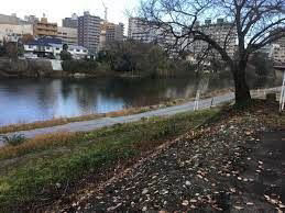 3LDK Apartment near Gobashi Station, Sendai - Thumbnail 4