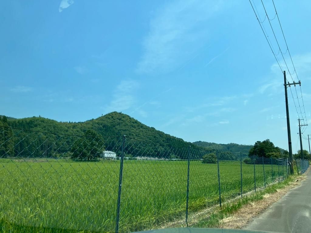 Vacant Land for Sale in Nantan City, Kyoto - Build Your Custom Home - Thumbnail 3