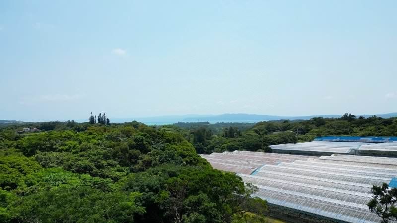 6,175 sqm Hilltop Land for Sale in Nakijin Village, Okinawa - Thumbnail 2