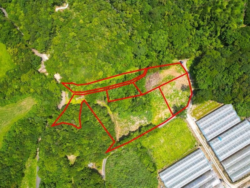 6,175 sqm Hilltop Land for Sale in Nakijin Village, Okinawa - Thumbnail 3