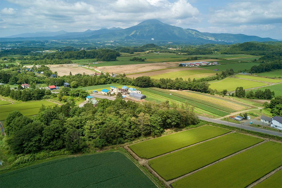 345 sqm Residential Land in Niseko, Hokkaido for Sale - Thumbnail 3