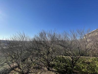 2SLDK apartment near Miyazakidai Station, Kawasaki — Image 1, Miyamae, Kanagawa
