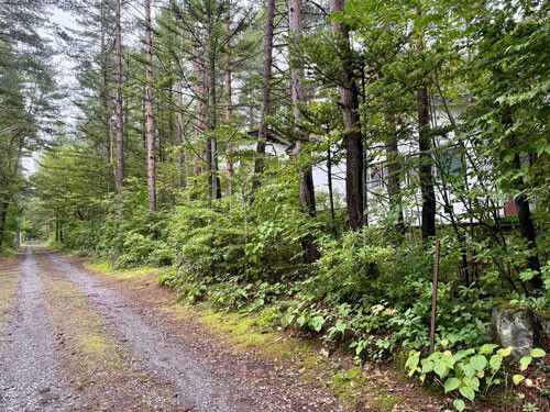 1981 Wooden 2DK House for Sale in Tsumagoi, Gunma - Thumbnail 4