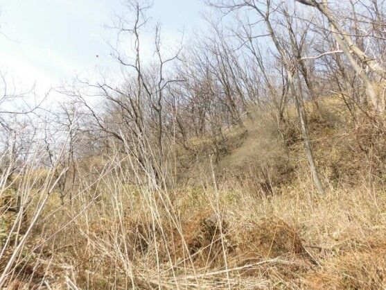 3445 sqm Land Plot with White Swan Bridge Views in Muroran - Thumbnail 3