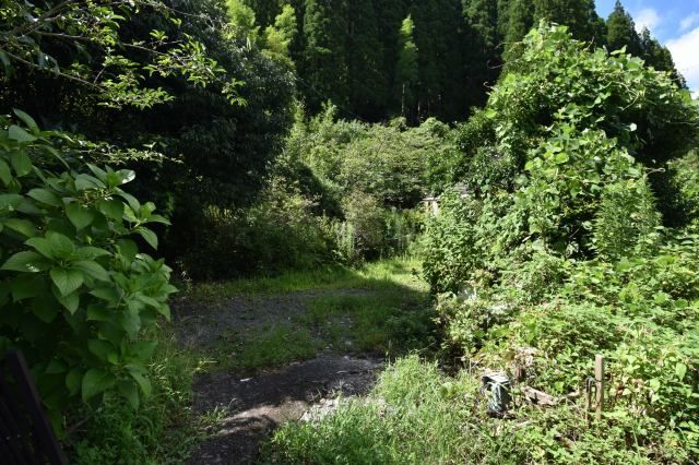 Land for Sale in Kammuridake, Ichikikushikino City, Kagoshima - Thumbnail 4