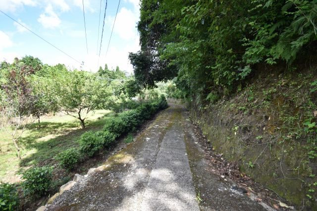 Land for Sale in Kammuridake, Ichikikushikino City, Kagoshima - Thumbnail 2
