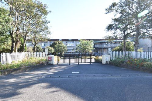 Land for Sale in Kanoya City, Kagoshima with Existing Old House - Thumbnail 2