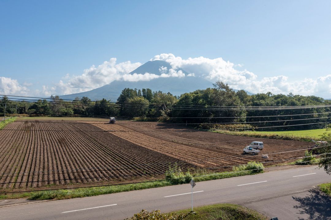 Land for Sale in Soga, Niseko, Hokkaido - 1,653 sqm - Thumbnail 3
