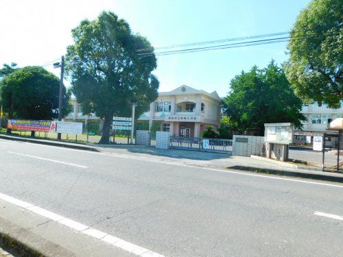 623 sqm Vacant Land for Sale in Kanoya, Kagoshima - Thumbnail 2