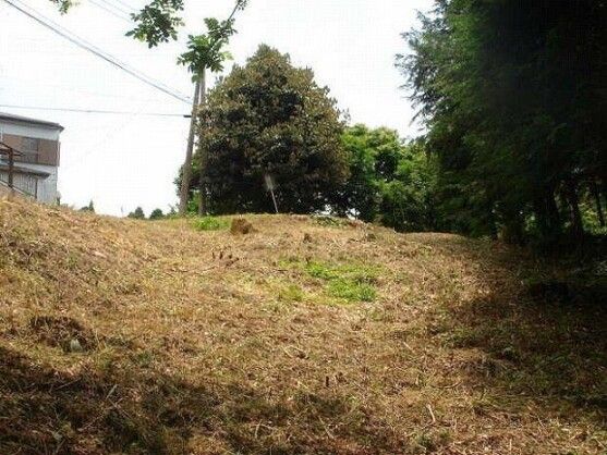784 sqm Forest Land for Auction in Shisui, Chiba - Thumbnail 3