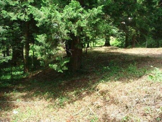 784 sqm Forest Land for Auction in Shisui, Chiba - Thumbnail 2