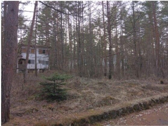 Land for Sale in Tsumagoi Village, Gunma – 330 sqm - Thumbnail 2