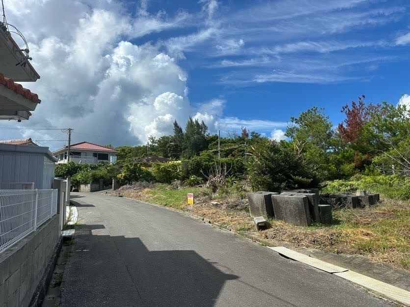 178 Tsubo Vacant Land Plot in Higashi Village, Okinawa - Thumbnail 3