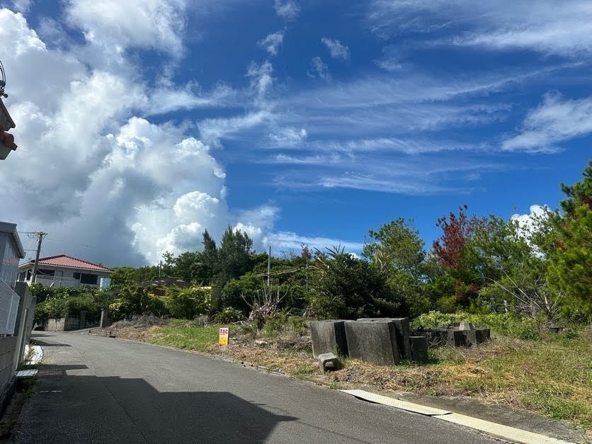 178 Tsubo Vacant Land Plot in Higashi Village, Okinawa - Thumbnail 4