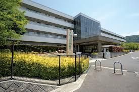 Large 8300sqm Land Plot for Sale in Fushimi, Kyoto - Thumbnail 4