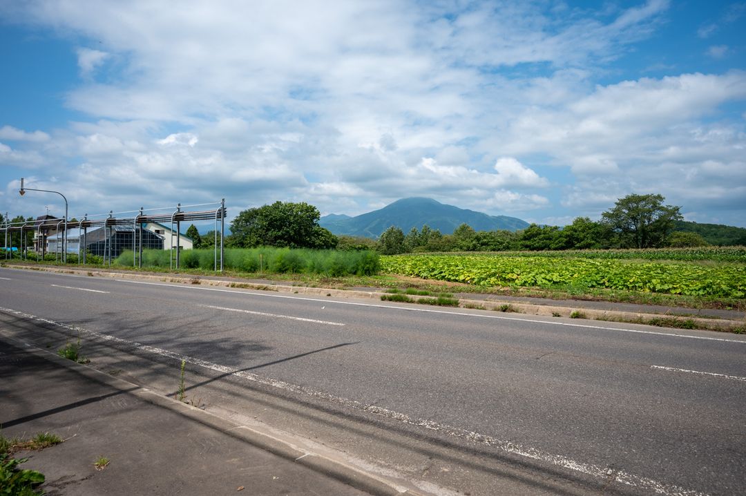 Land for Sale in Kondo, Niseko - 331 sqm - Thumbnail 3
