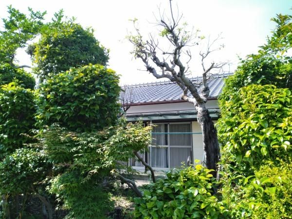 Residential Land for Sale in Tsunehisa, Miyazaki City - Thumbnail 2