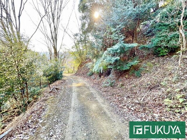 Large Sloping Land Plot with Sheds for Sale in Uji, Kyoto - Thumbnail 4