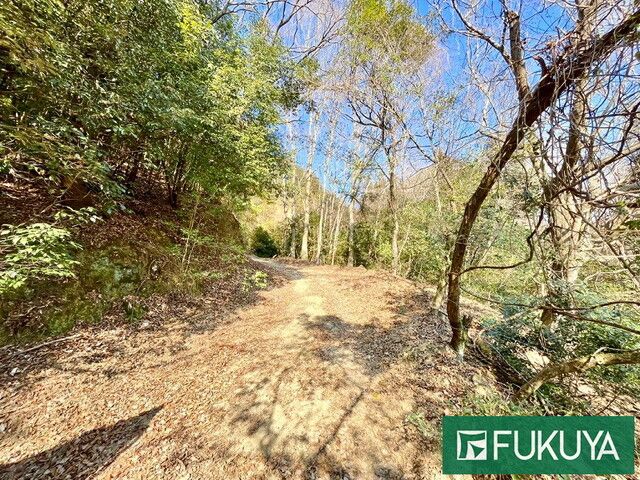 Large Sloping Land Plot with Sheds for Sale in Uji, Kyoto - Thumbnail 3