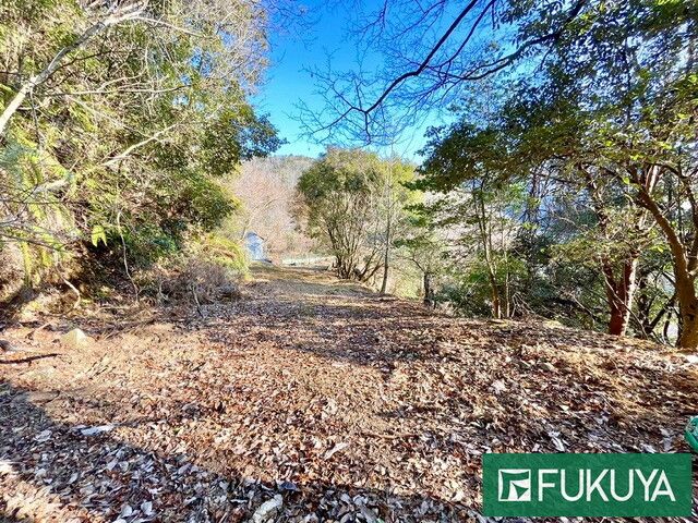 Large Sloping Land Plot with Sheds for Sale in Uji, Kyoto - Thumbnail 2