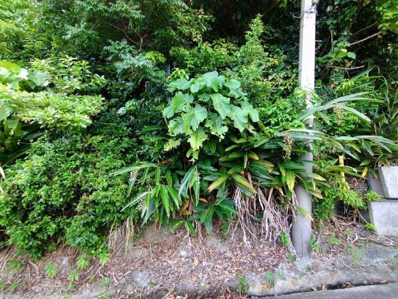730 sqm Vacant Land for Sale in Nanjo City, Okinawa - Thumbnail 3