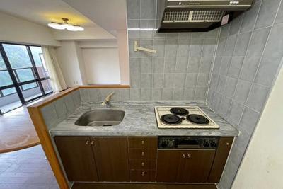 Luxury 1LDK Apartment in Lions Tower Okuyugawara with Mountain Views — Image 1, Yugawara, Kanagawa