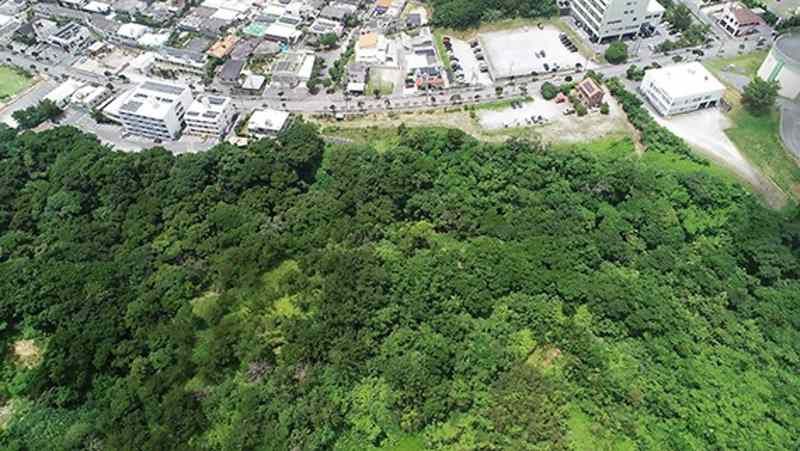 28,600 sqm Land for Sale in Nago, Okinawa - Cleared Lot - Thumbnail 3