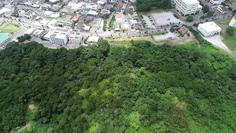 28,600 sqm Land for Sale in Nago, Okinawa - Cleared Lot - Thumbnail 4