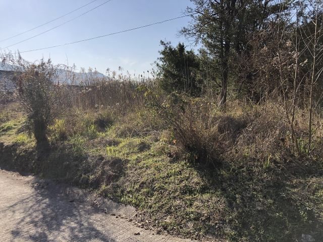 2355 sqm Land Plot for Sale in Satsumasendai, Kagoshima - Thumbnail 4