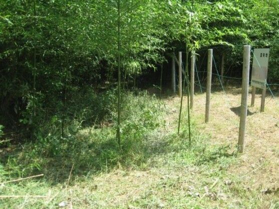 Vacant Forest Land for Sale in Sanmu City, Chiba Prefecture - Thumbnail 4