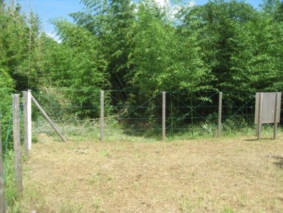 Vacant Forest Land for Sale in Sanmu City, Chiba Prefecture - Thumbnail 3