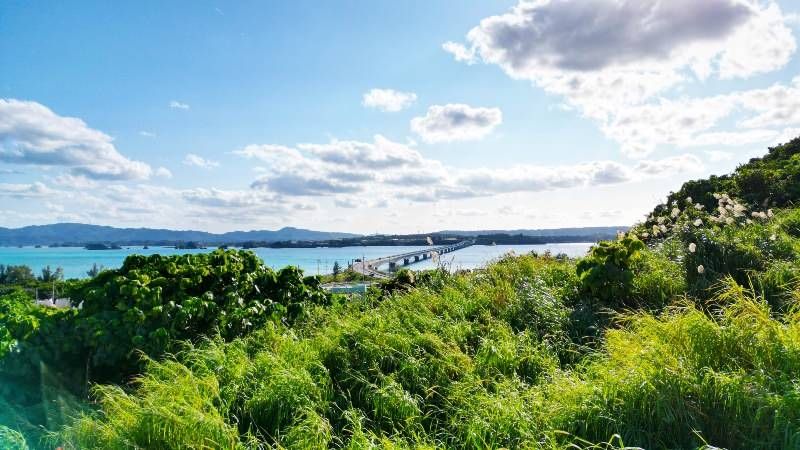 Land for Sale in Kouri, Nakijin Village, Okinawa - 637 sqm - Thumbnail 3