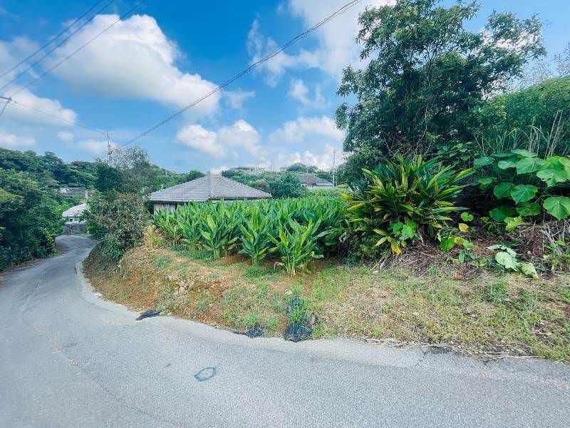 729.41 sqm Land Plot with Old House in Nago, Okinawa - Thumbnail 2