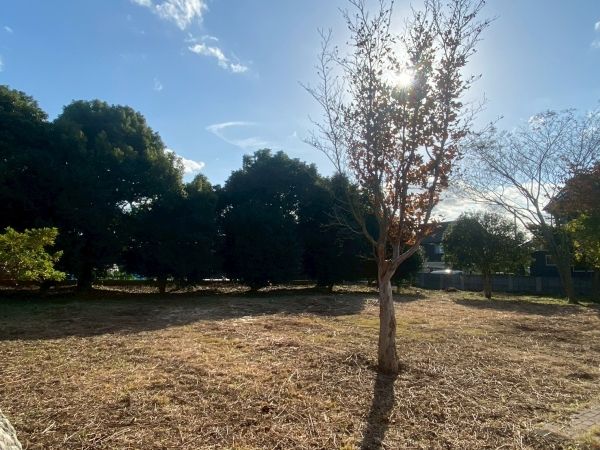 Land for Sale in Hitachinaka City, Ibaraki - 345.75 sqm - Thumbnail 4